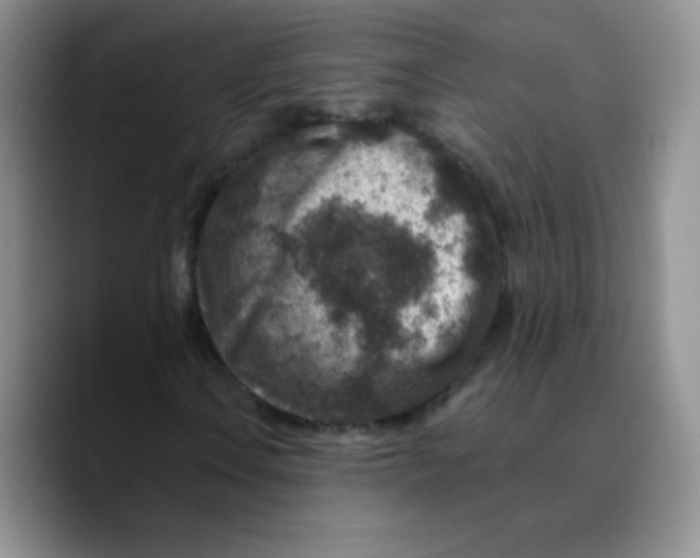 X0000089701106200707201735