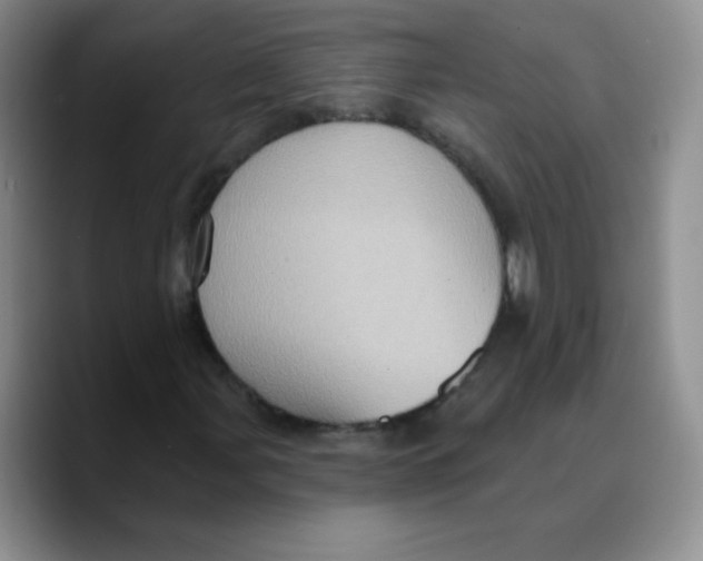 X0000089701107200707201735
