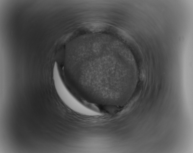 X0000089701108200707201735