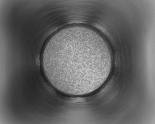 X0000089701113200707201735