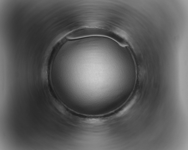 X0000089701114200707201735