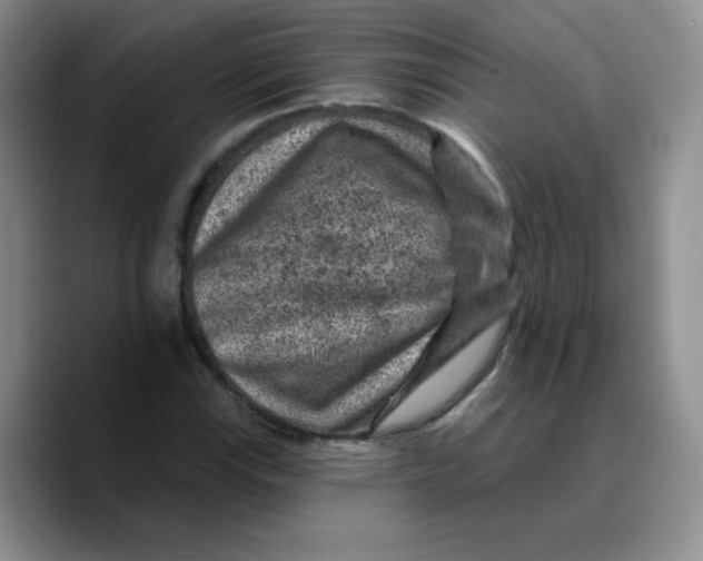 X0000089701115200707201735