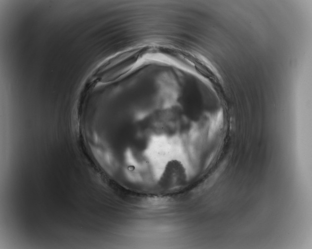 X0000089701117200707201735