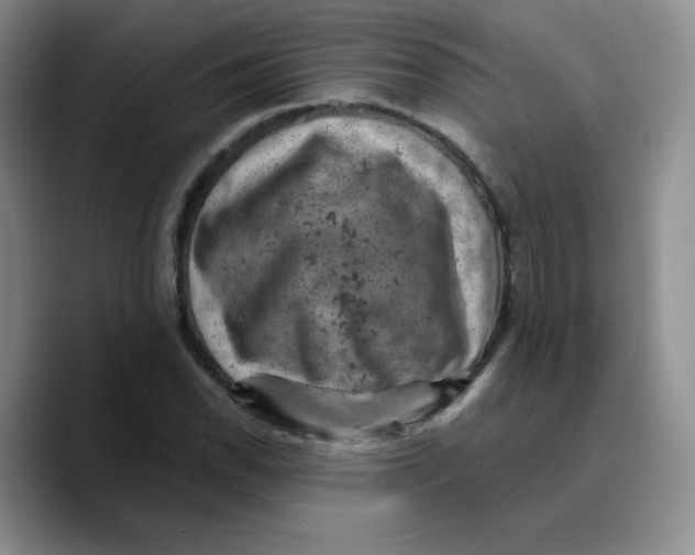 X0000089701118200707201735