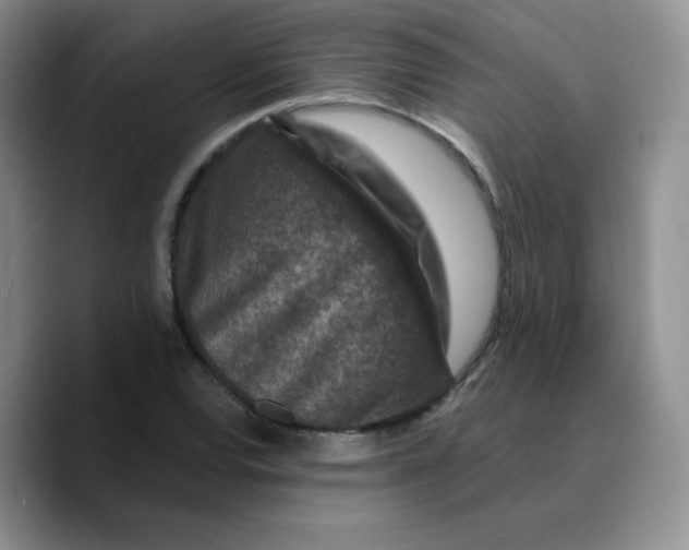 X0000089701120200707201735
