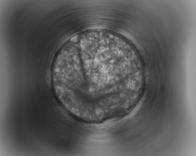 X0000089701121200707201735