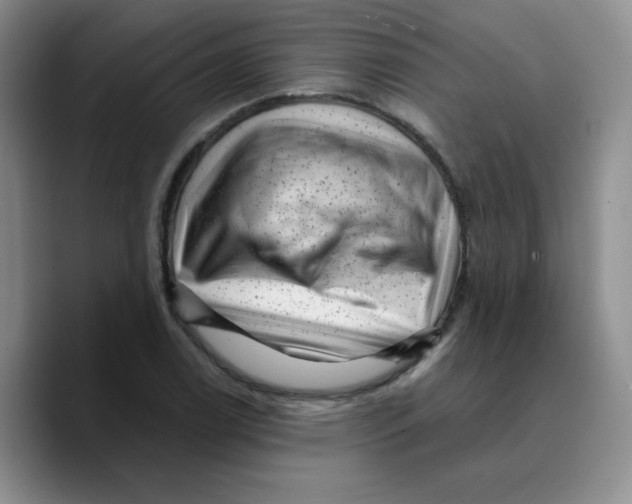 X0000089701122200707201735