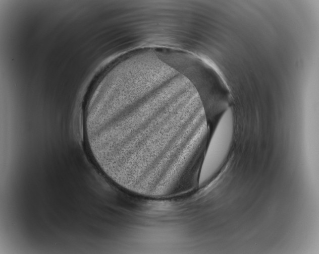 X0000089701123200707201735
