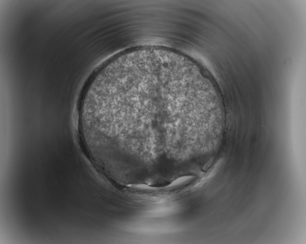 X0000089701125200707201735