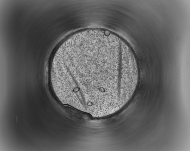 X0000089701126200707201735