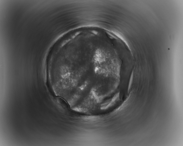 X0000089701127200707201735