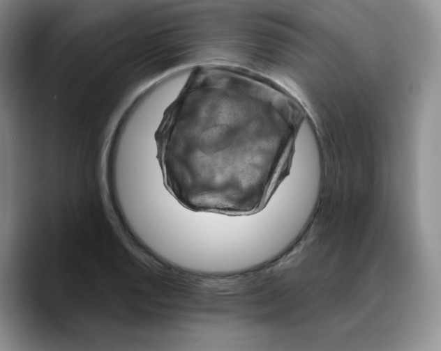 X0000089701128200707201735