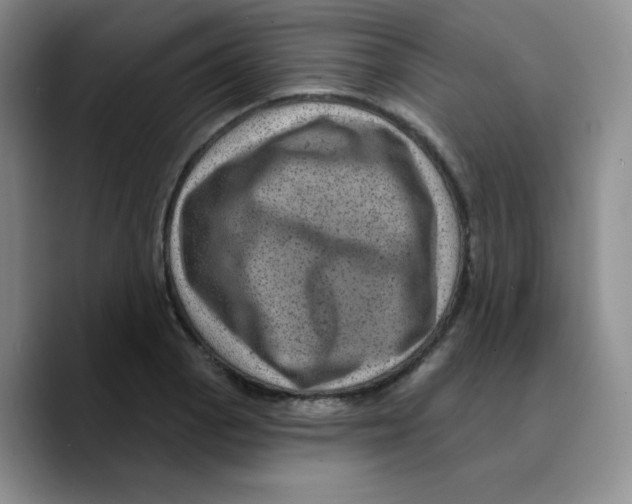 X0000089701129200707201735