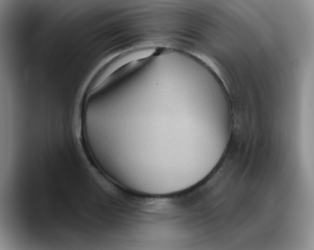 X0000089701131200707201735