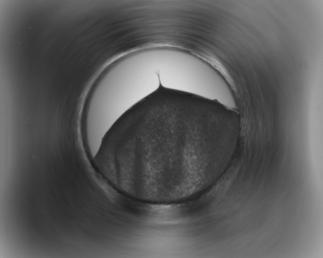 X0000089701132200707201735
