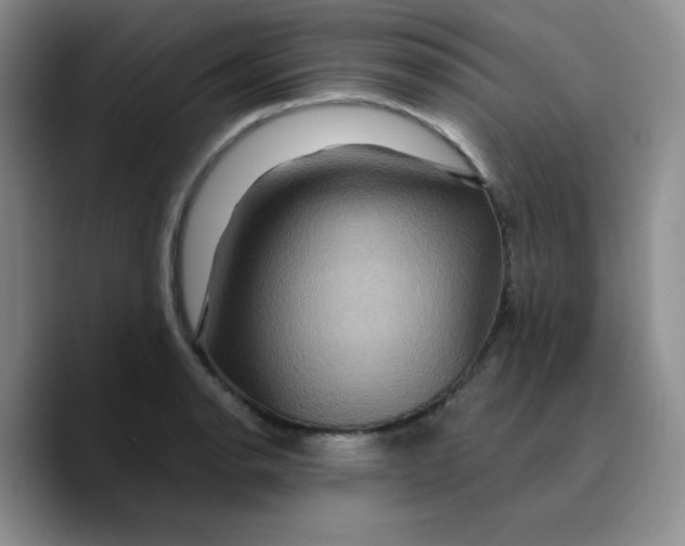 X0000089701134200707201735