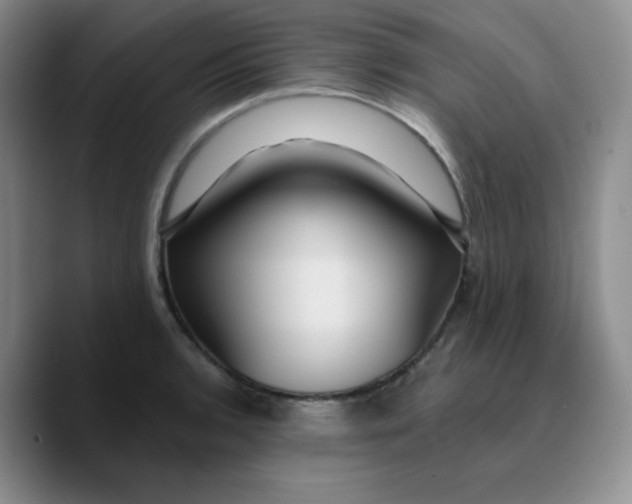 X0000089701136200707201735