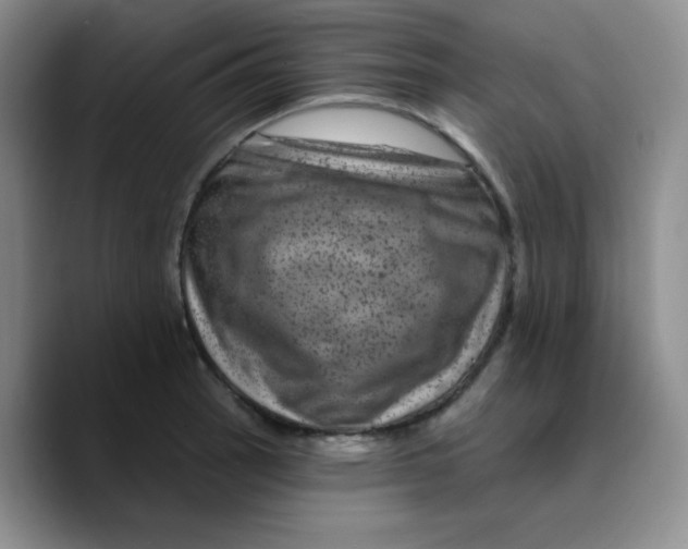 X0000089701137200707201735