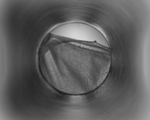 X0000089701142200707201735