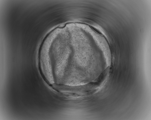 X0000089701143200707201735