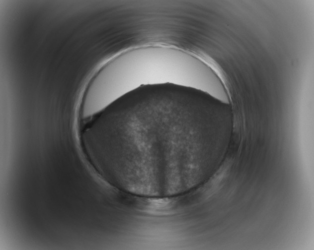 X0000089701144200707201735