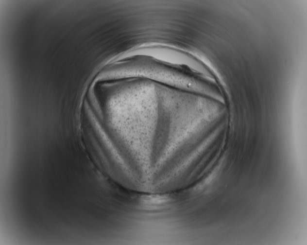 X0000089701145200707201735
