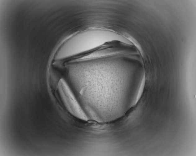 X0000089701146200707201735
