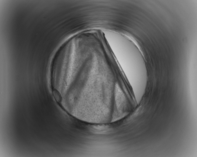 X0000089701147200707201735