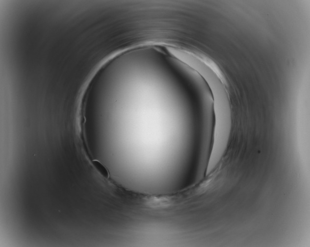 X0000089701148200707201735