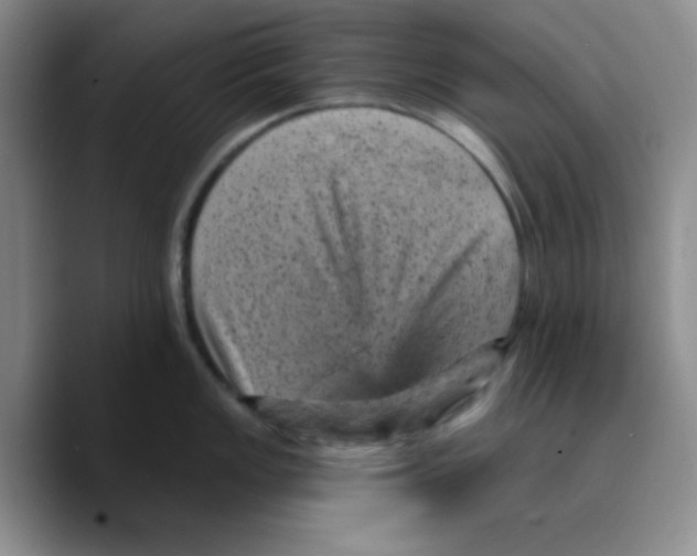 X0000089701149200707201735