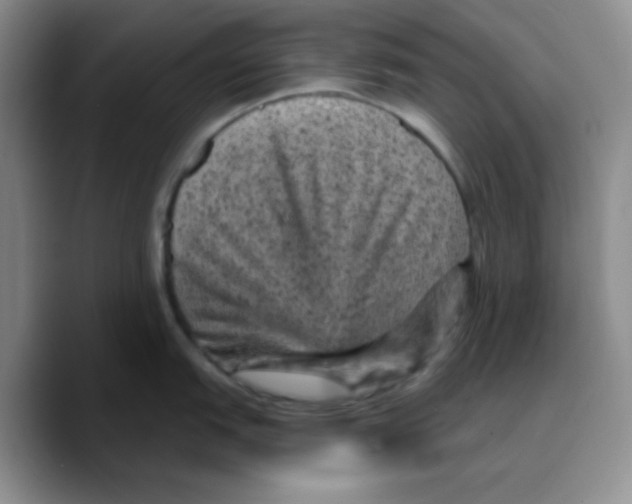 X0000089701151200707201735
