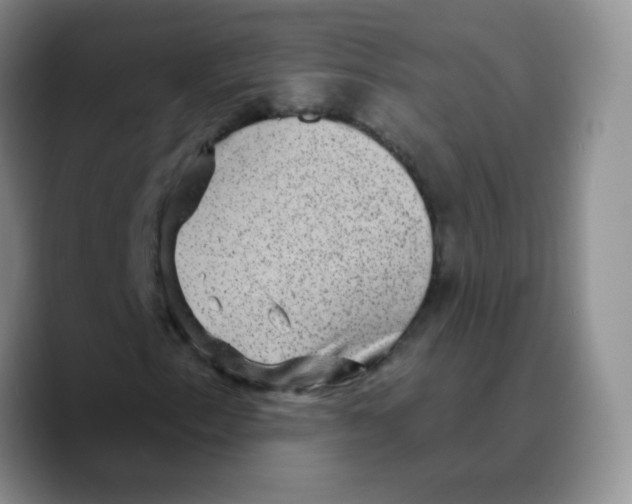 X0000089701153200707201734