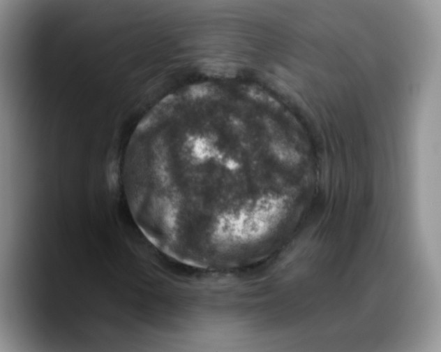 X0000089701154200707201734