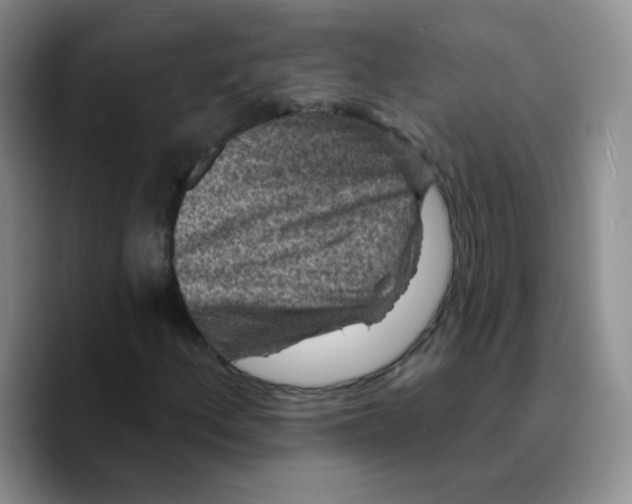 X0000089701156200707201734