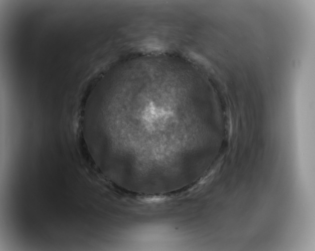 X0000089701157200707201734