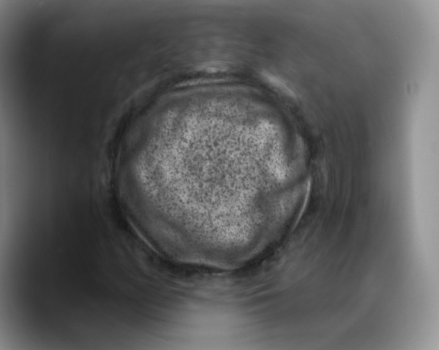 X0000089701158200707201734