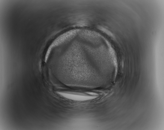 X0000089701160200707201734