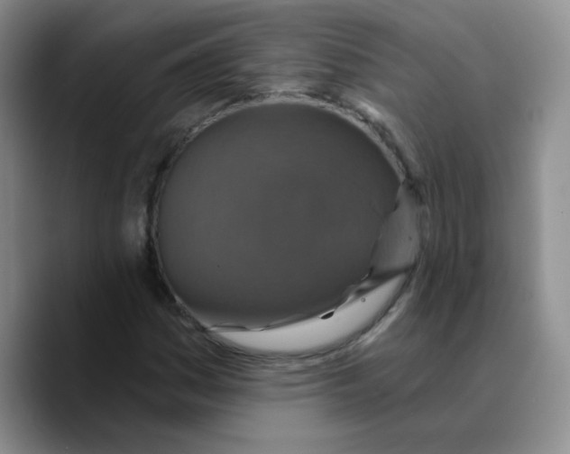 X0000089701161200707201734