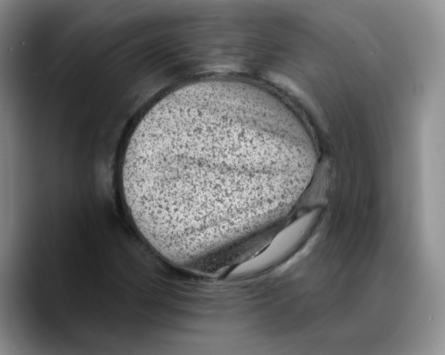 X0000089701162200707201734