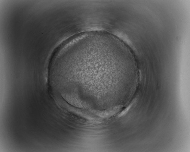 X0000089701165200707201734