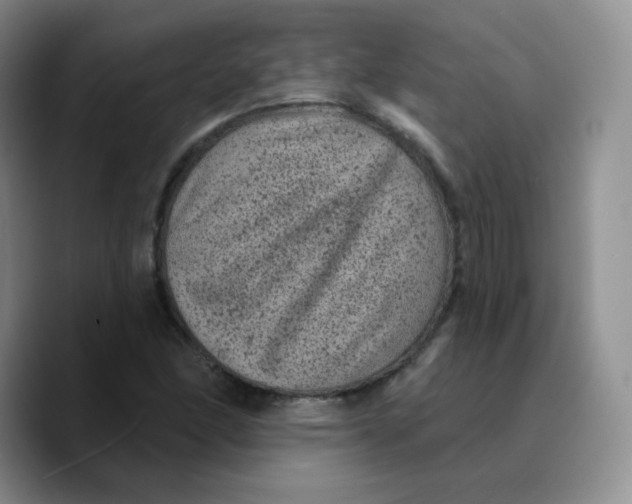 X0000089701166200707201734