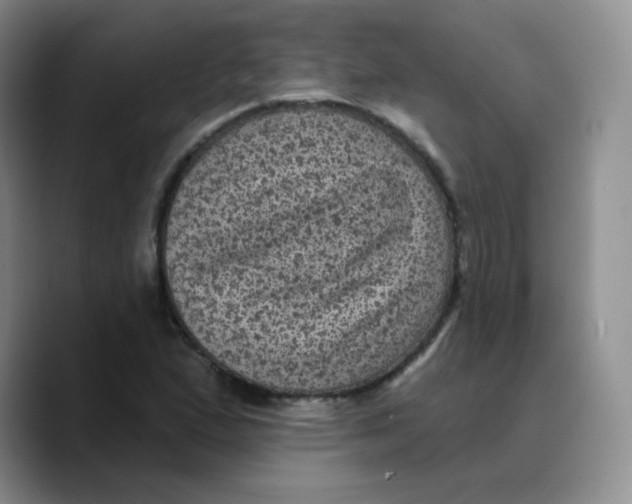 X0000089701167200707201734