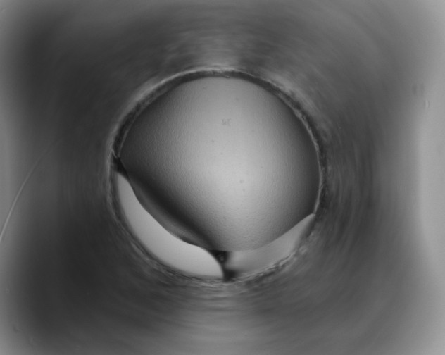 X0000089701168200707201734