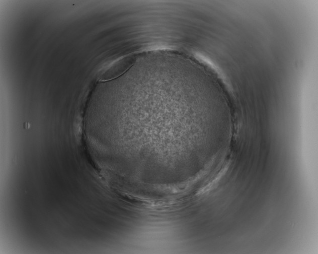 X0000089701169200707201734