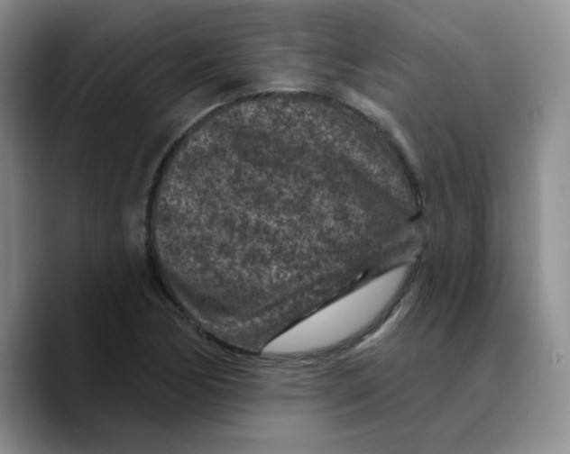 X0000089701170200707201734