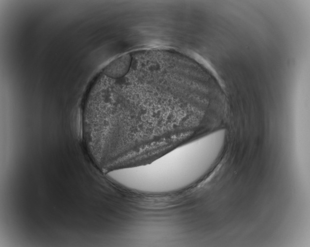 X0000089701171200707201734