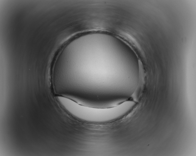 X0000089701172200707201734