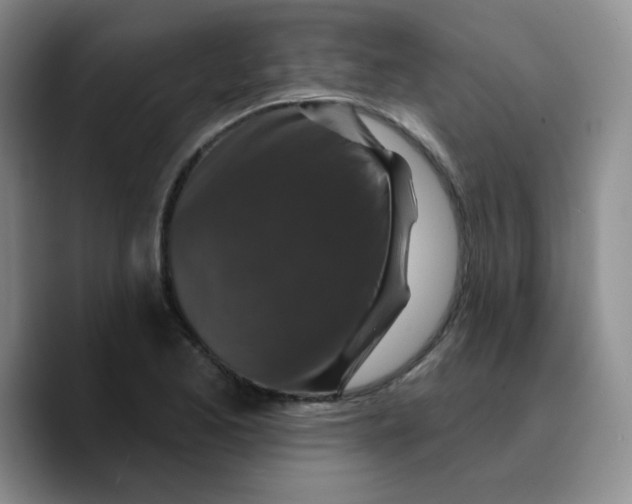 X0000089701173200707201734