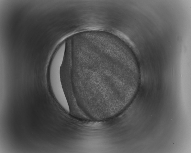 X0000089701174200707201734