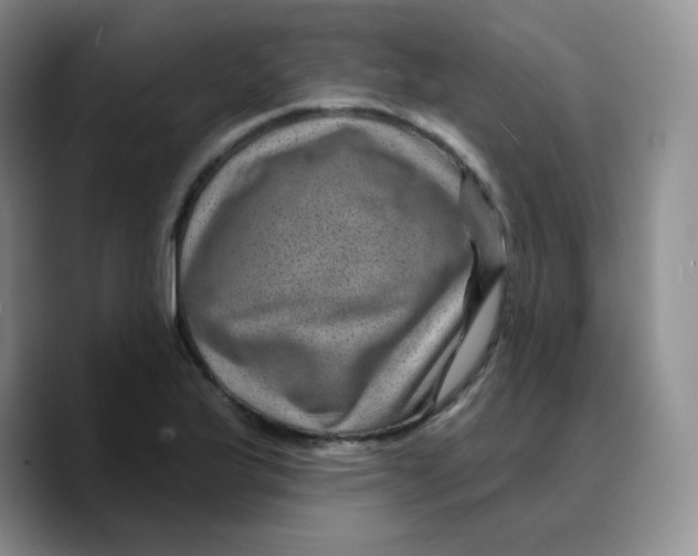 X0000089701175200707201734